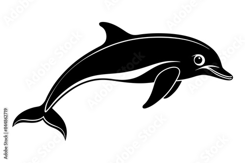dolphin fish vector illustration