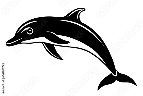 dolphin fish vector illustration