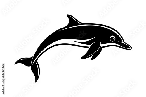 dolphin fish vector illustration