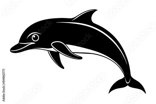 dolphin fish vector illustration