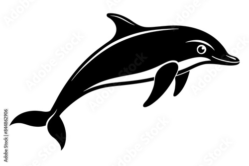 dolphin fish vector illustration