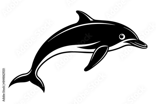 dolphin fish vector illustration