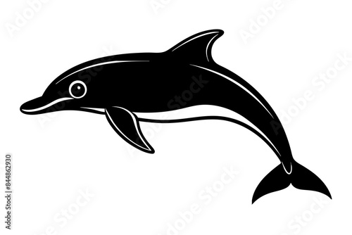 dolphin fish vector illustration