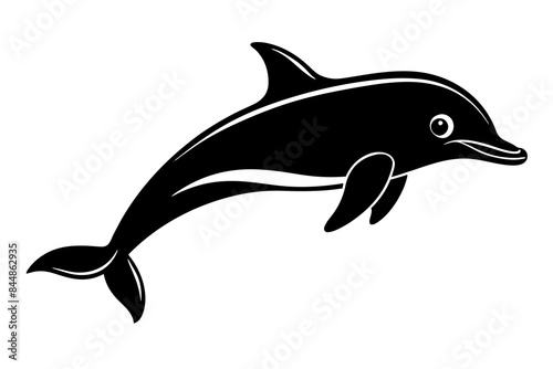 dolphin fish vector illustration