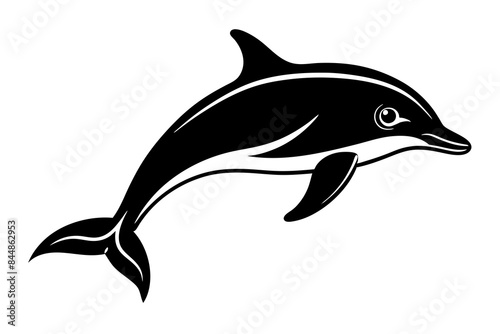 dolphin fish vector illustration