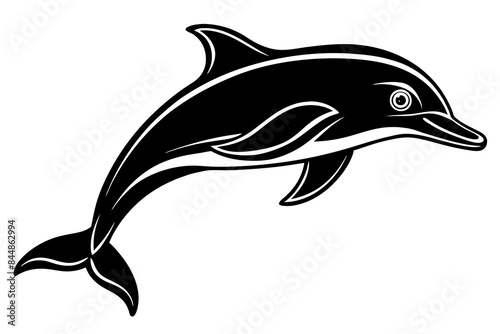 dolphin fish vector illustration