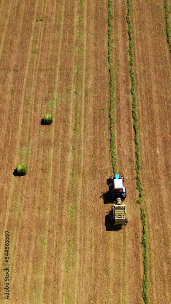 View from above on the field during seasonal works. Tractor gathering dry grass for livestock on the field background in summer. Aerial view. Vertical video
