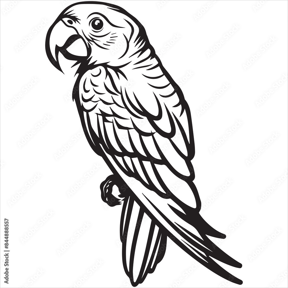 Parrot flat vector illustration Parrot cartoon vector illustration Parrot flat vector illustration Parrot cartoon vector illustration