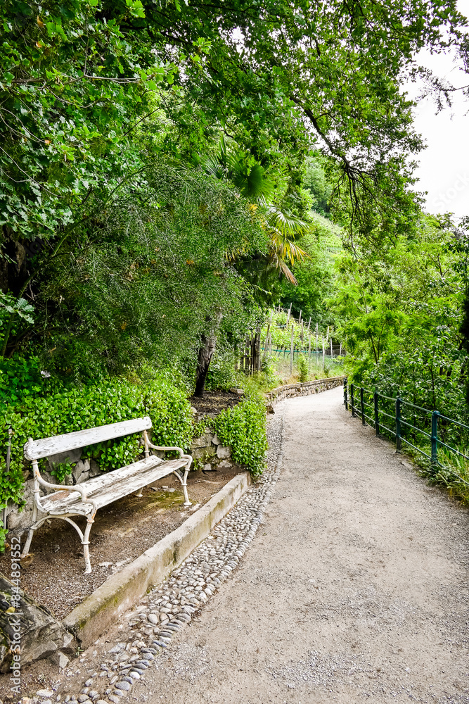 Meran, Tappeinerweg, Waalweg, Spazierweg, Panoramaweg, Parkbank, Weinberge, Obstbäume, Vinschgau, Etschtal, Etsch, Südtirol, Frühling, Sommer, Italien Meran, Tappeinerweg, Waalweg, Spazierweg, Panoramaweg, Parkbank, Weinberge, Obstbäume, Vinschgau, Etschtal, Etsch, Südtirol, Frühling, Sommer, Italien