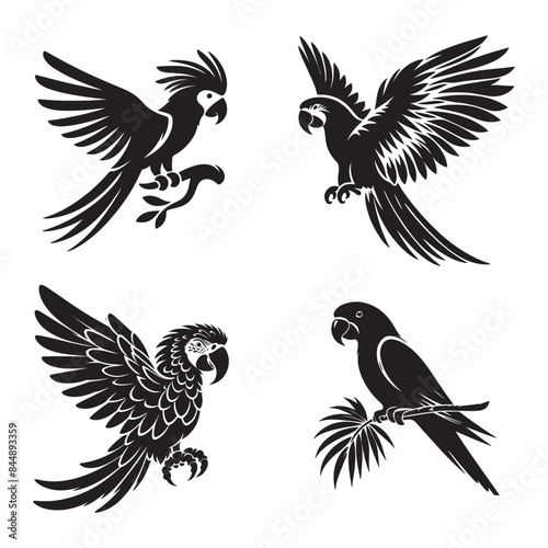 Parrot vector silhouette