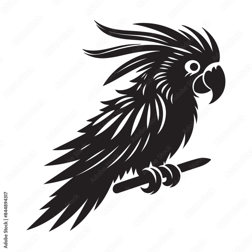 Parrot vector silhouette Parrot vector silhouette