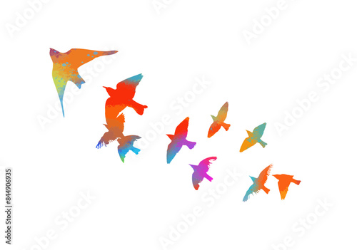 A flock of colored birds. Not AI. Vector illustration