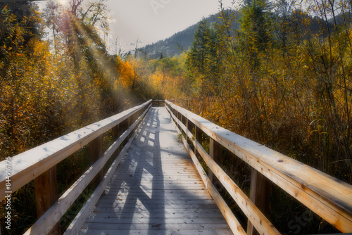 frosty bridge over protected wetlands