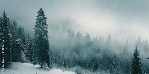 Amazing mystical rising fog forest snow snowy trees landscape snowscape in black forest ( Schwarzwald ) winter, Germany panorama banner - dark mood, Generative AI