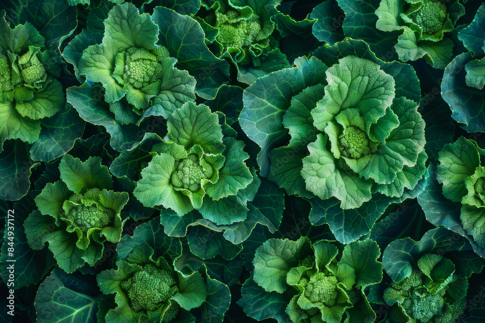 A vibrant close-up of fresh broccoli florets, showcasing their rich green color and intricate texture.. AI generated. A vibrant close-up of fresh broccoli florets, showcasing their rich green color and intricate texture.. AI generated.
