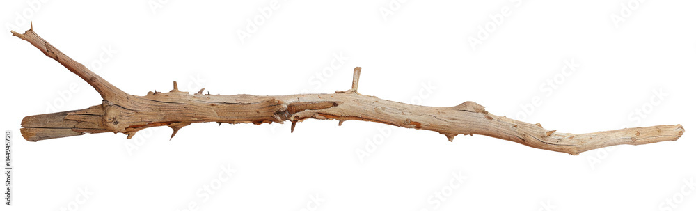 Wooden curved snag stick isolated on white, top view Wooden curved snag stick isolated on white, top view