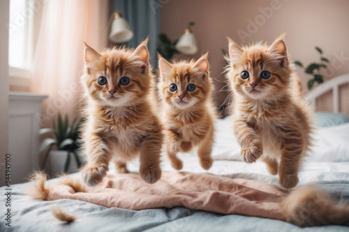 A group of young playful active kittens jumping on the bed in the early sunny morning. Themes related to pets, playfulness, and morning activities.