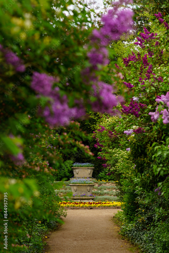 Garden path leading to tiered stone planter filled with flowers, surrounded by lush green foliage and blooming purple lilacs flowers. Serenity of nature. Floral Beauty and garden aesthetics in spring. Garden path leading to tiered stone planter filled with flowers, surrounded by lush green foliage and blooming purple lilacs flowers. Serenity of nature. Floral Beauty and garden aesthetics in spring.