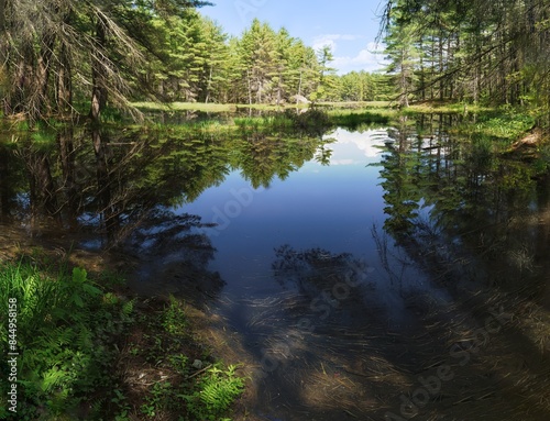 A hike around the lakes and through the forests of Hardy Lake Provincial Park in Ontario Canada