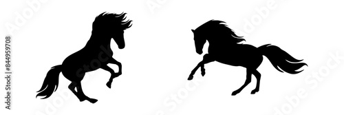 set silhouette illustration  background horse 