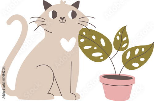 Cat And Home Pot