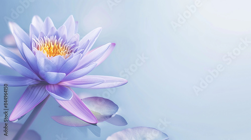 Natural background, decorated with a lily flower.