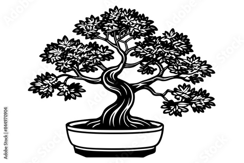 bonsai tree line art vector illustration