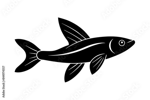 Flying Fish silhouette vector illustration