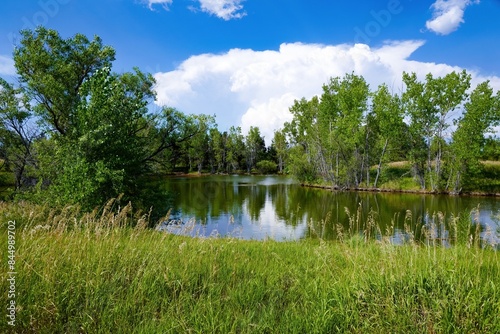 A pond encircled with native grasses, green trees and a beautiful sky with white clouds at Historic Belmar Park, in Lakewood, Colorado.