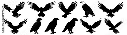 Eagle silhouette set vector design big pack of illustration and icon