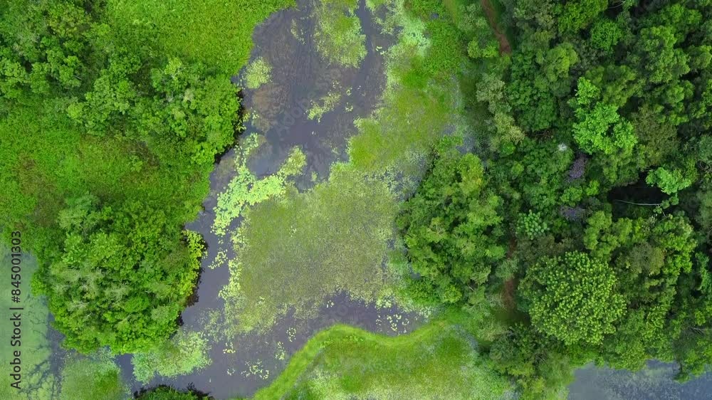 Aerial view of the wetlands of the environmental NGO Associação Reserva Ecológica de Guapiaçu - REGUA (Guapiaçu Ecological Reserve) , in Rio de Janeiro, Brazil. Aerial view of the wetlands of the environmental NGO Associação Reserva Ecológica de Guapiaçu - REGUA (Guapiaçu Ecological Reserve) , in Rio de Janeiro, Brazil.