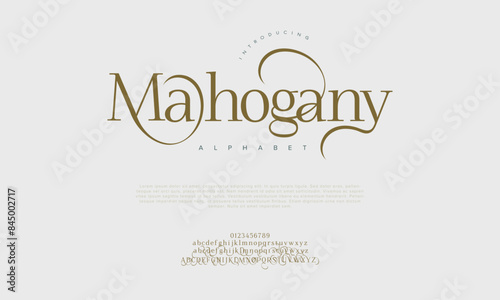 Mahogany premium luxury elegant alphabet letters and numbers. Vintage wedding typography classic serif font decorative vintage retro. creative vector illustration