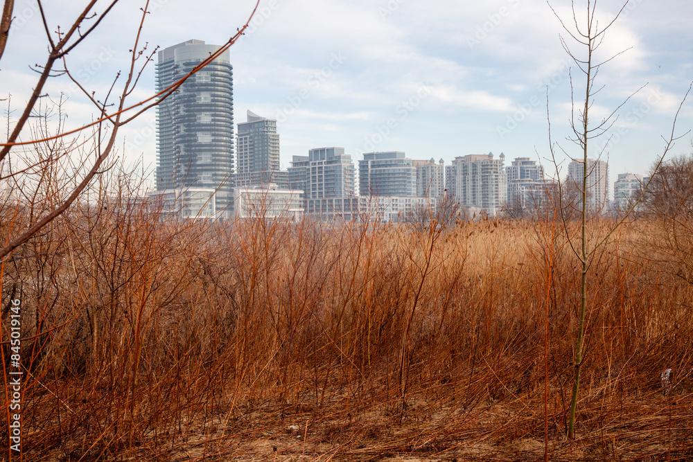 Humber Bay Shores, Toronto, Ontario, Canada, foggy morning, winter landscape,lake ontario Humber Bay Shores, Toronto, Ontario, Canada, foggy morning, winter landscape,lake ontario