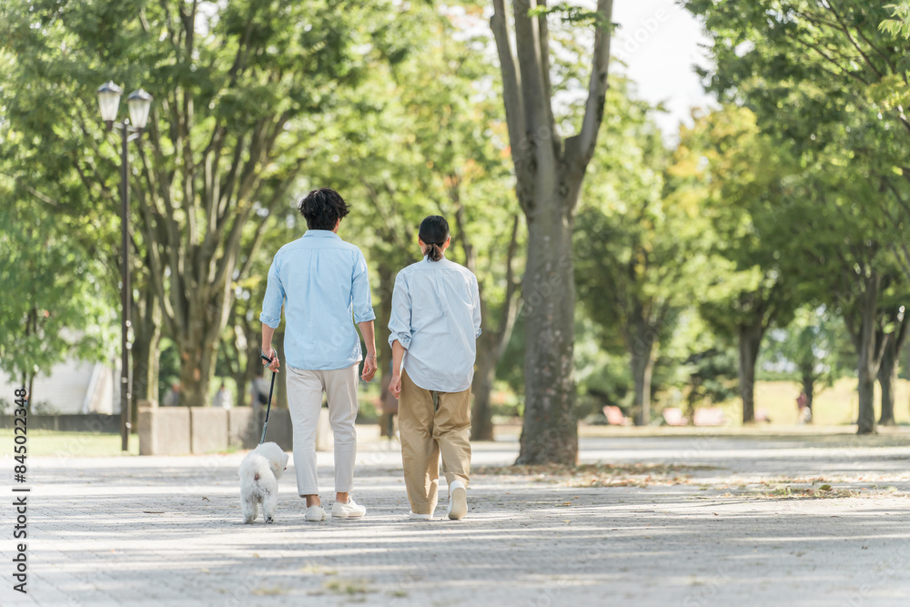 Fototapeta premium 犬の散歩をする夫婦・愛犬家・飼い主・ペットシッター・家族