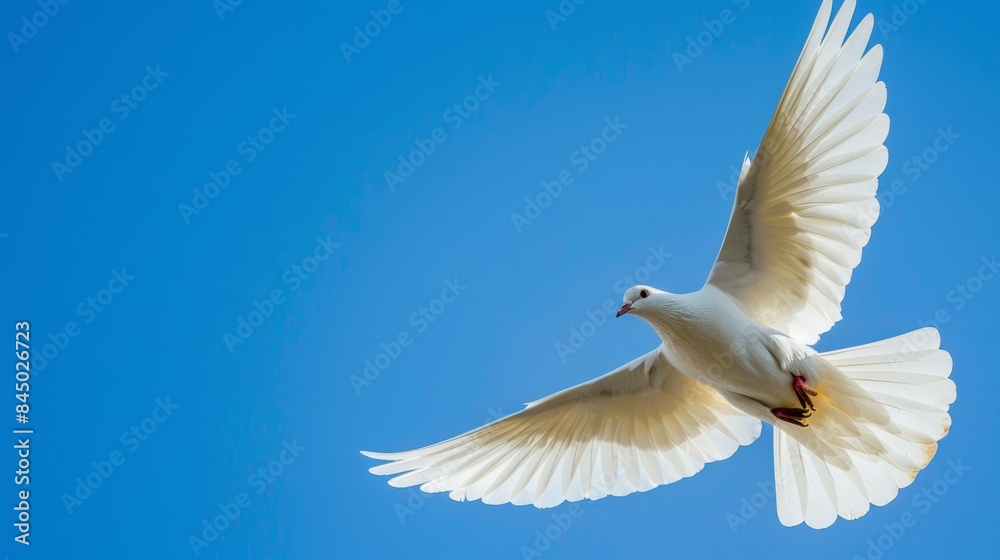 Obraz premium dove flying towards the sky generative ai
