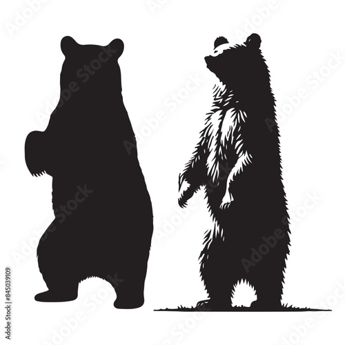 Silhouette set of bear. Vector isolated illustration