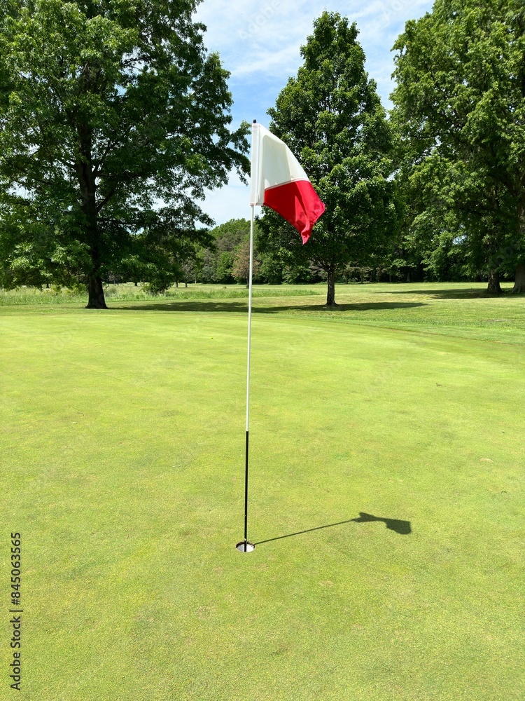 Obraz premium Golf course green with hole and flag