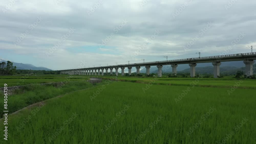 nature of Taiwan Island with fields nature of Taiwan Island with fields