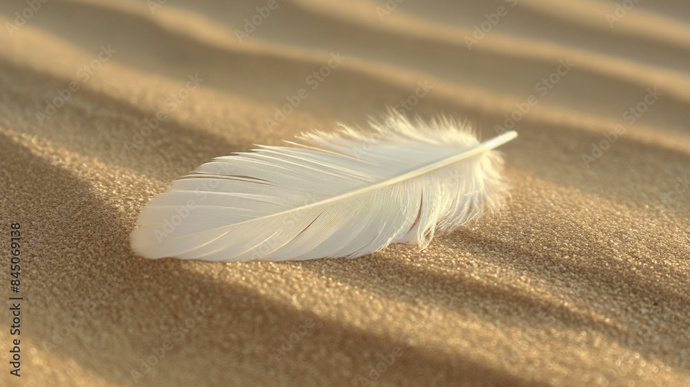 White Feather Resting on Smooth Sand White Feather Resting on Smooth Sand