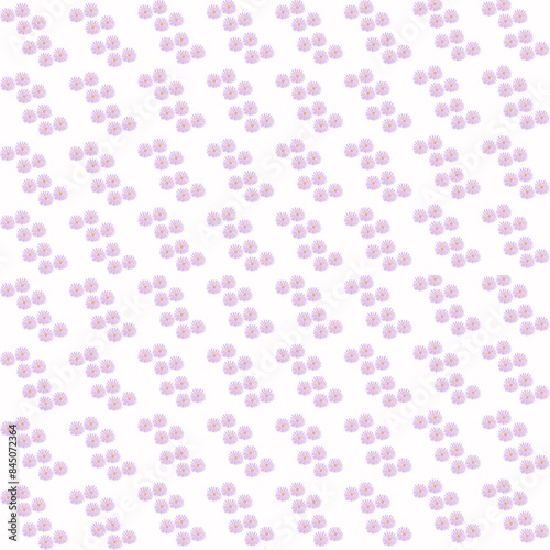 Aster flower pattern