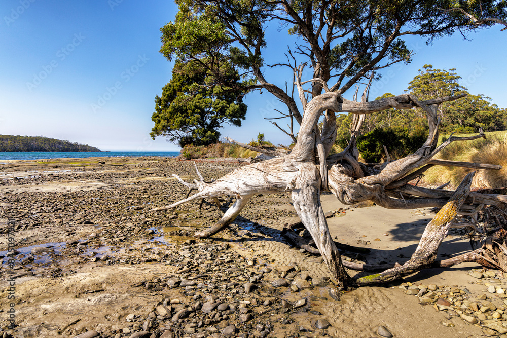 Beach scene at Recherche, Tasmania, Australia Beach scene at Recherche, Tasmania, Australia