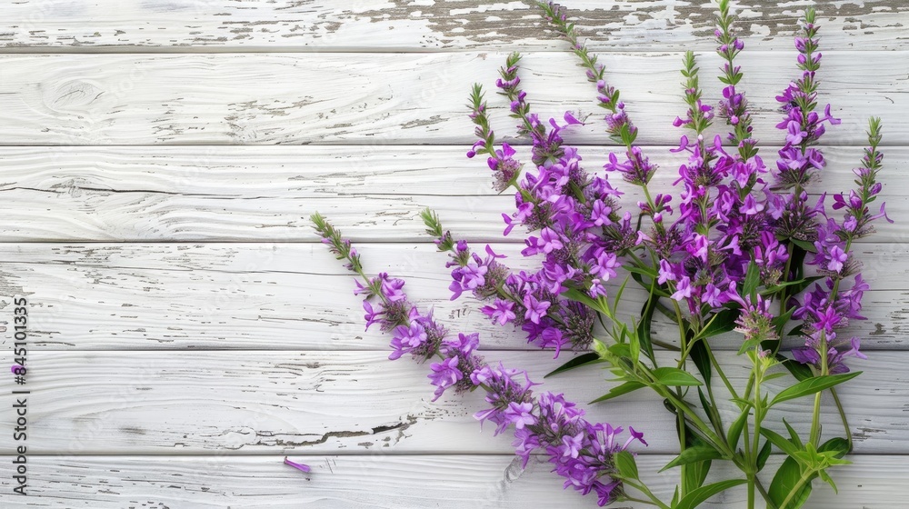 Obraz premium Purple lythrum flowers with leaves on a white wooden background with a toned effect