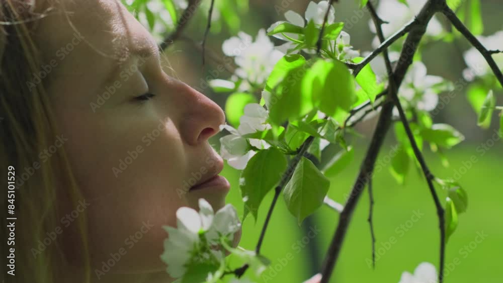 A happy adult woman inhales the scent of white cherry trees in a spring park. Close-up face of a dreamy woman enjoying a summer day in a blooming garden. A happy adult woman inhales the scent of white cherry trees in a spring park. Close-up face of a dreamy woman enjoying a summer day in a blooming garden.