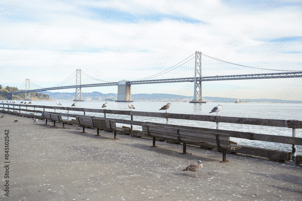 San Francisco - Oakland Bay Bridge with seagulls on the pier San Francisco - Oakland Bay Bridge with seagulls on the pier