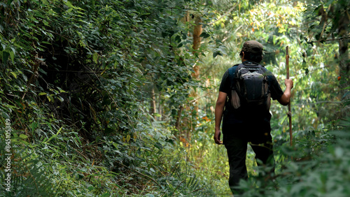 Amidst woodland, a solitary male hiker navigates, forging a path through nature's serene embrac