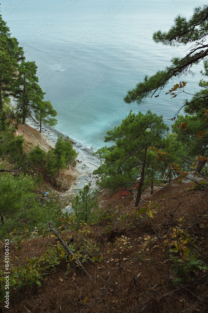 A serene coastal view from a cliff overlooking the calm turquoise sea. Pine trees and foliage frame the scene, with the rocky coastline visible below. Wild Beach.