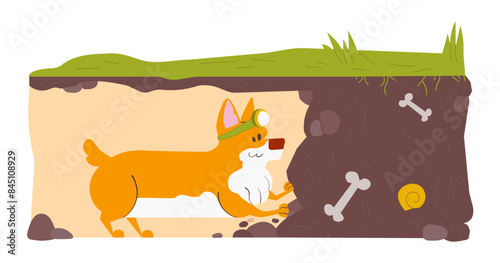 Dog digs a tunnel underground