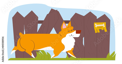 Dog goes through a hole in the fence