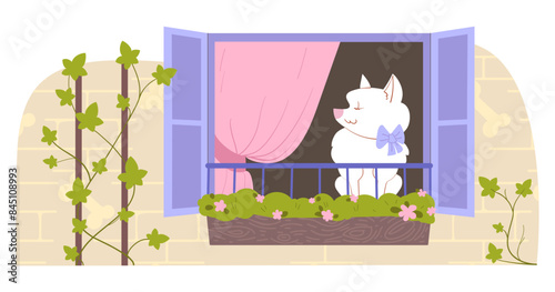 Dog resting on a windowsil