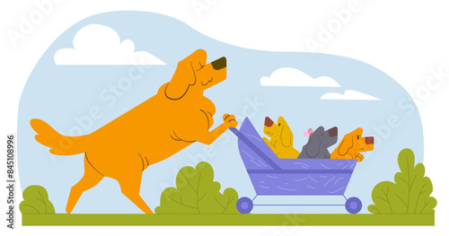 Dog walking with puppies in a stroller